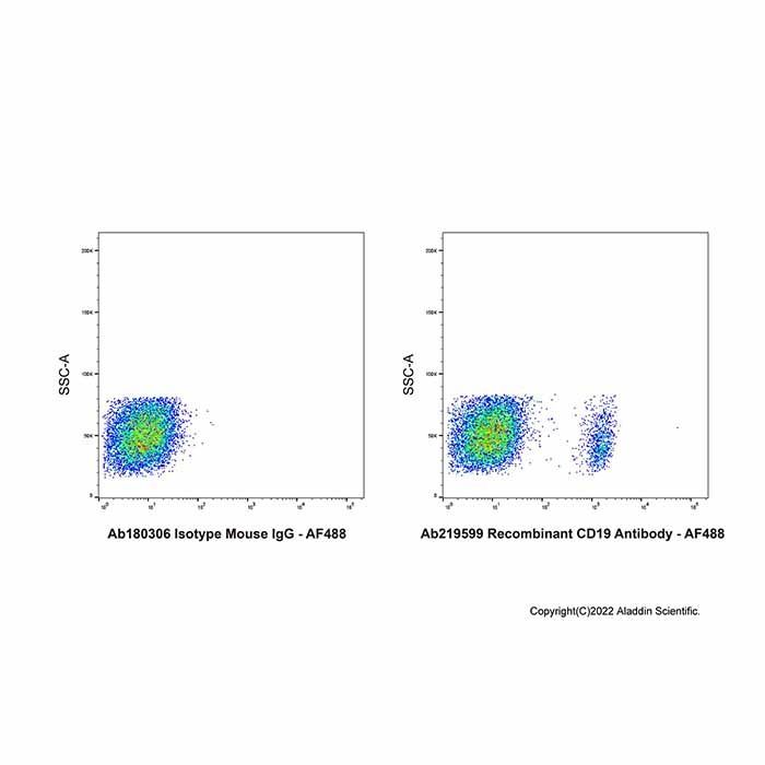 Recombinant CD19 Antibody