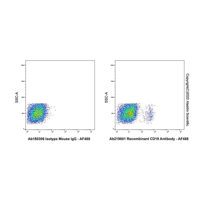 Recombinant CD19 Antibody