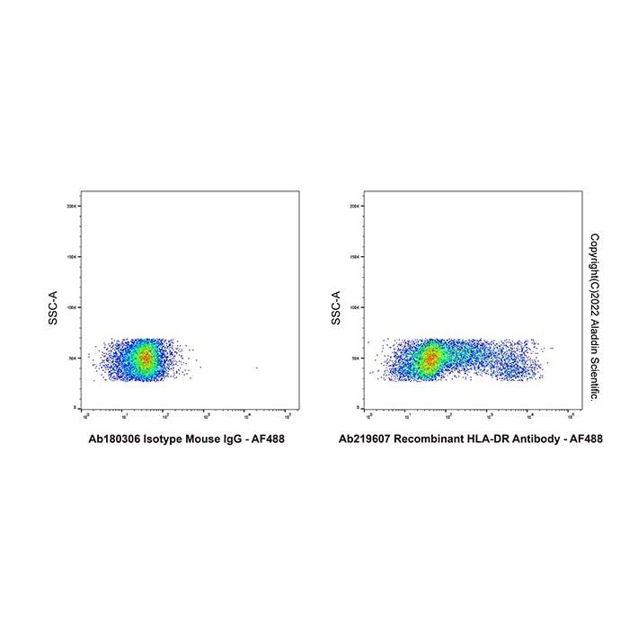 Recombinant HLA-DR Antibody