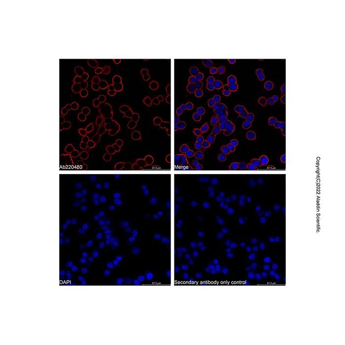 Goat Anti-Mouse IgG H&L (LumiDye™ Red 665)