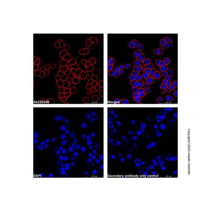 Goat Anti-Human IgG (LumiDye™ Red 665)