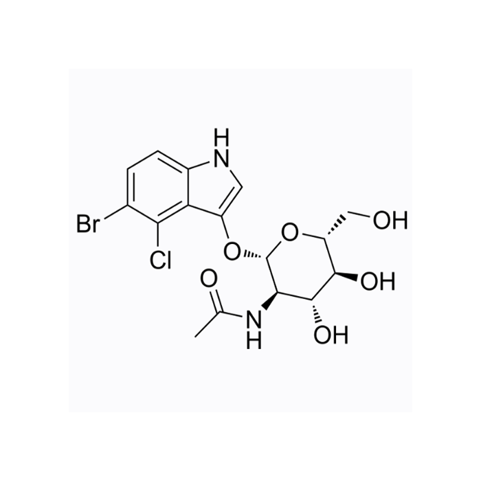 5-溴-4-氯-3-吲哚基-N-乙酰-β-D-氨基葡萄糖苷