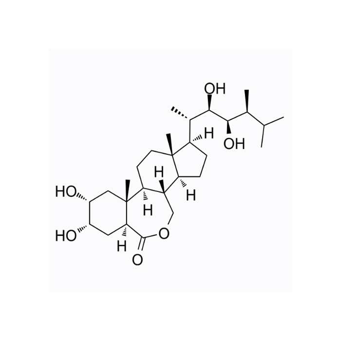 芸苔素内酯（Brassinolide）