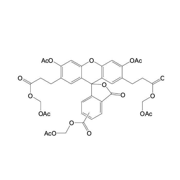 BCECF-AM