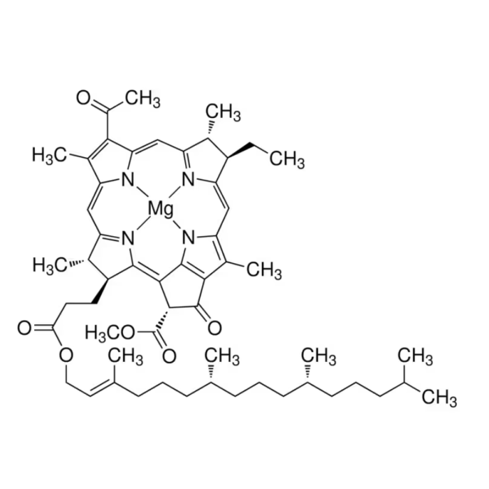 菌叶绿素 来源于球形红假单胞菌