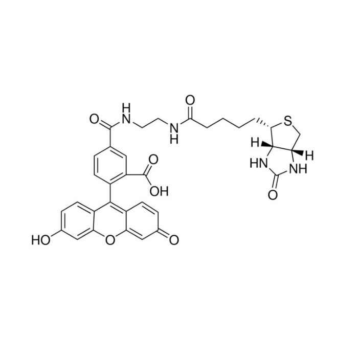 生物素（5-荧光素）缀合物