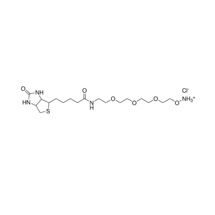 生物素-dPEG®₃-氧基胺盐酸盐