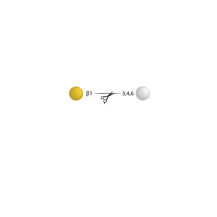 Beta-(1-3,4,6) Galactosidase