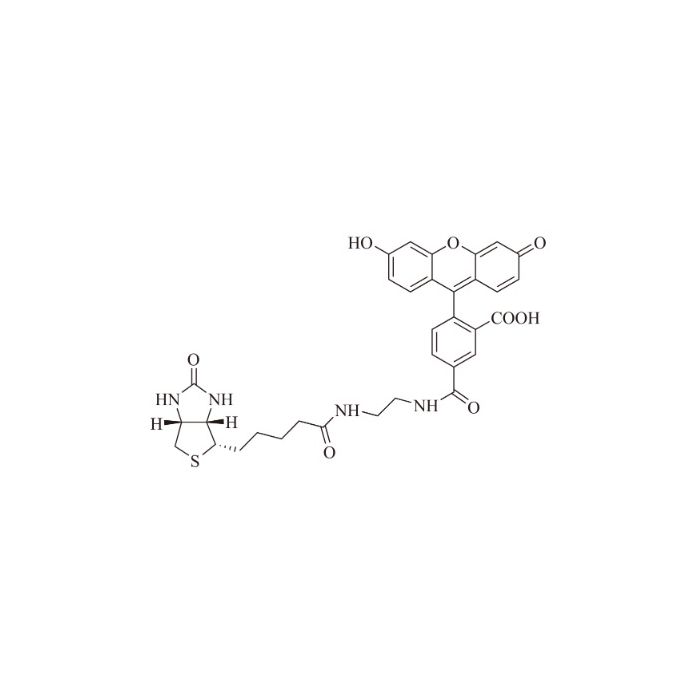 生物素-4-荧光素
