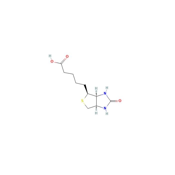 D-生物素