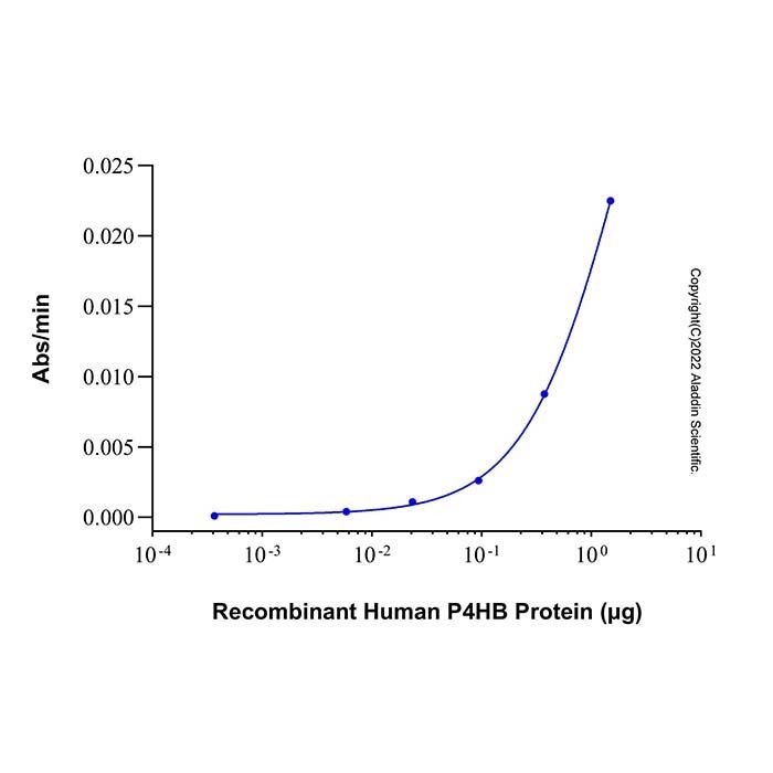 Recombinant Human P4HB Protein