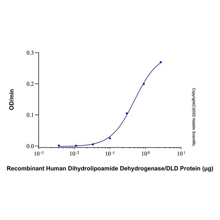 Recombinant Human Dihydrolipoamide Dehydrogenase/DLD Protein