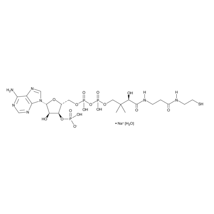 辅酶A钠盐 水合物
