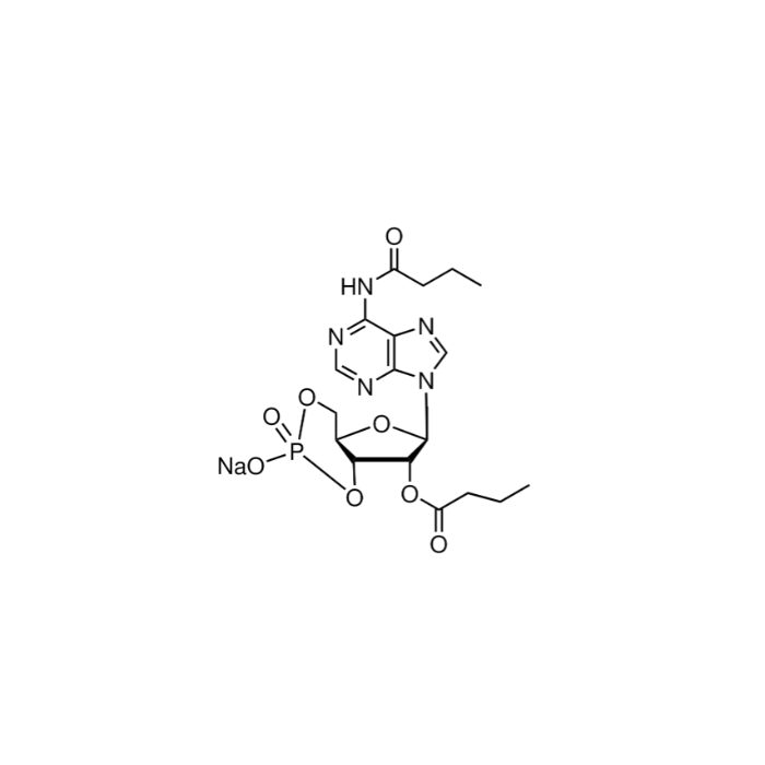 N⁶,2′-O-二丁酰基腺苷3′,5′-环磷酸 钠盐