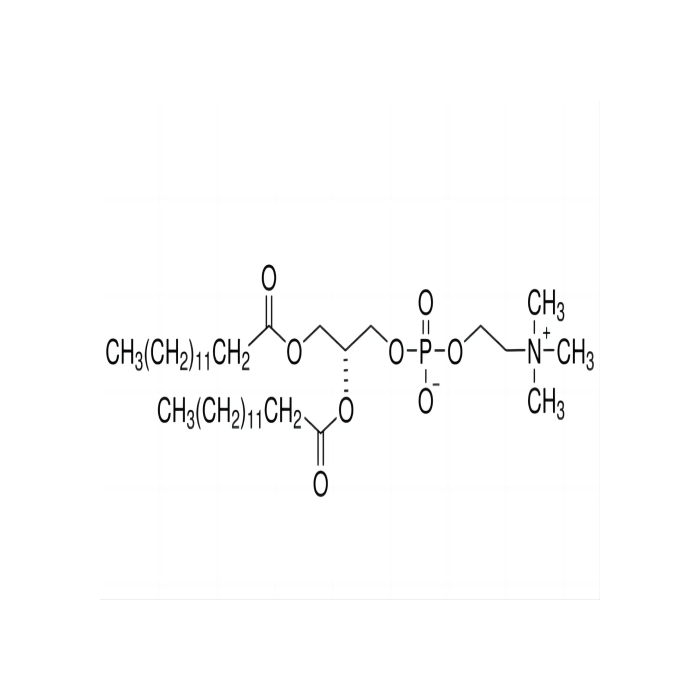二肉豆蔻酰磷脂酰胆碱（DMPC）