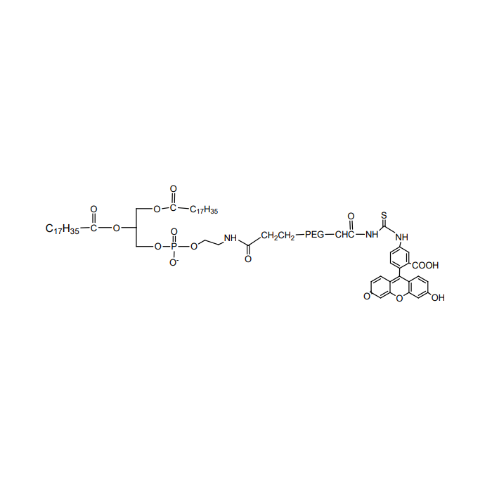 DSPE PEG Fluorescein, DSPE-PEG-FITC