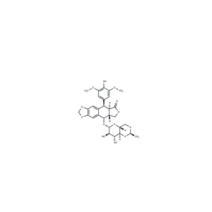 依托泊甘, DNA 拓扑异构酶 II 抑制剂