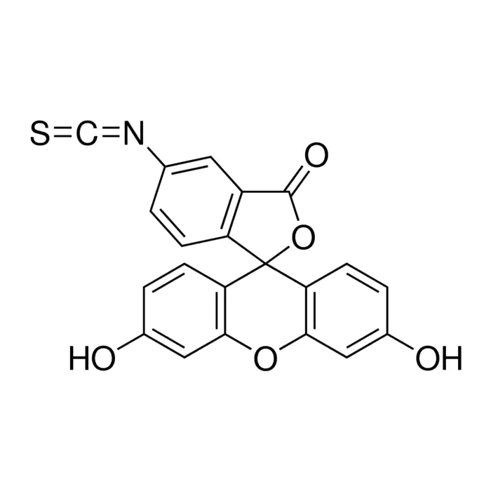 异硫氰酸荧光素（FITC）