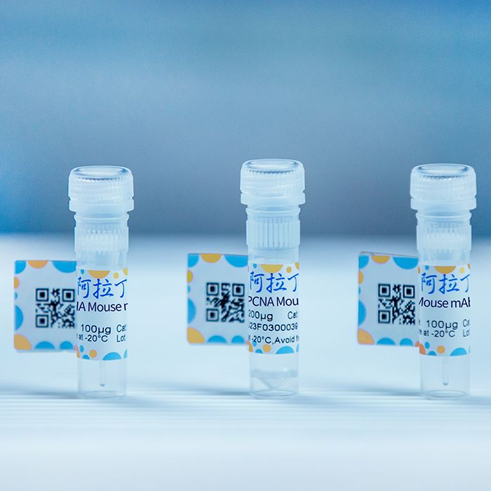2×Flash PCR MasterMix (Dye)