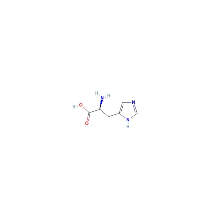 L-组氨酸, 肽转运体 3;肽转运体 4;钠偶联中性氨基酸转运体 5