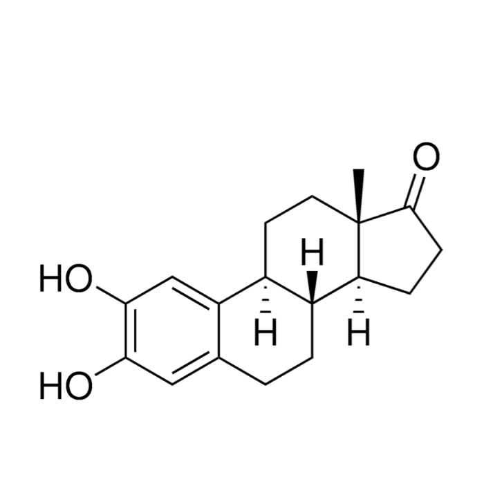 2-羟基雌酮