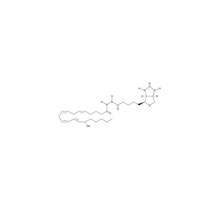 15（S）-HETE-生物素