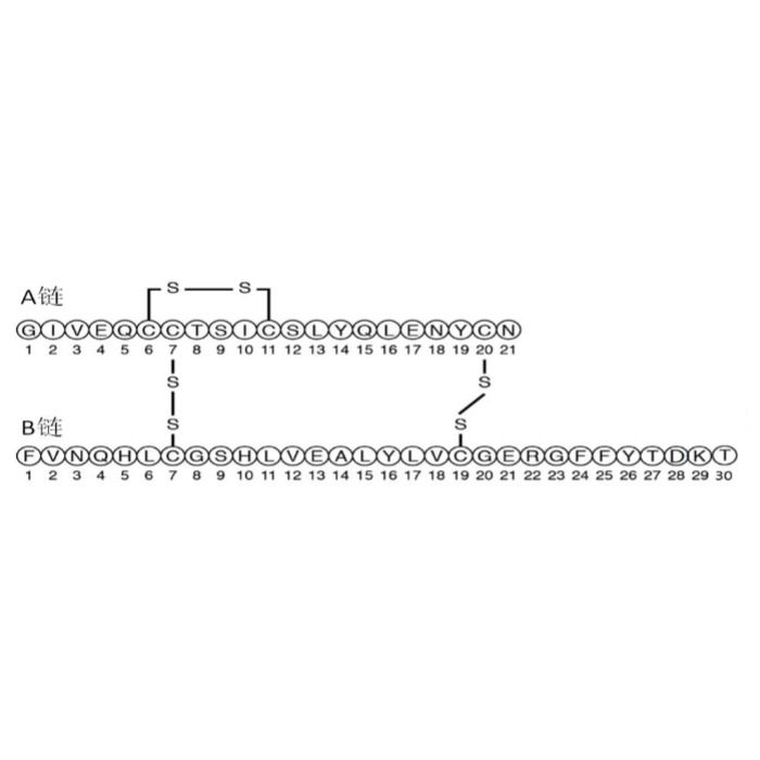门冬胰岛素 (Insulin Aspart)