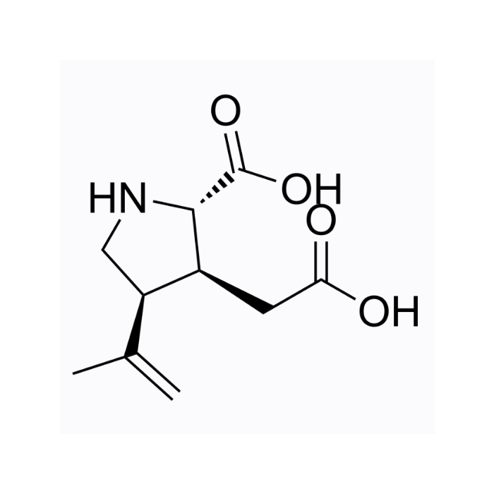 海藻酸, GluK1 激动剂;GluK2 激动剂;GluK3 激动剂;GluK4 激动剂;GluK5 激动剂