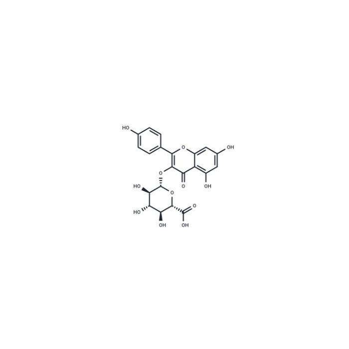 山奈酚3-O-β-D-葡萄糖苷酸
