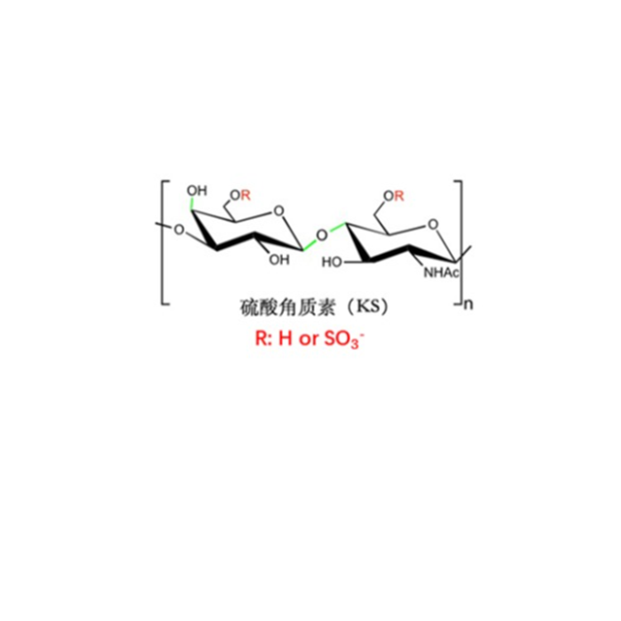 硫酸角质素
