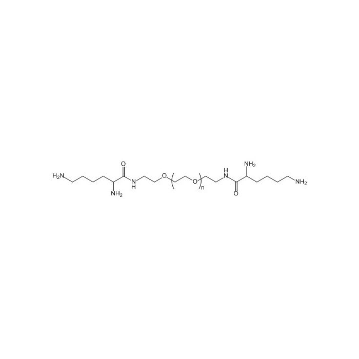 赖氨酸 PEG 赖氨酸