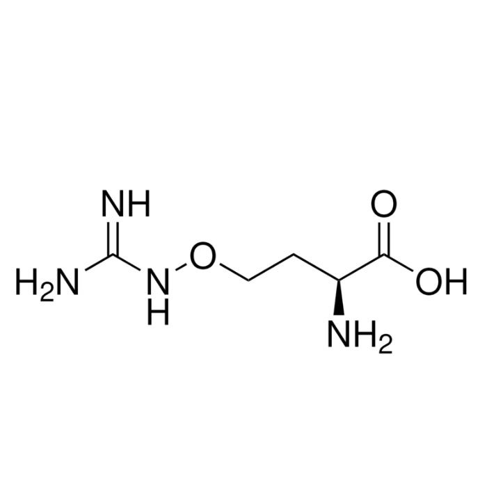 L-刀豆氨酸