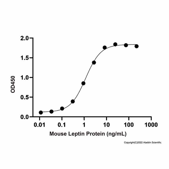 Recombinant Mouse Leptin Protein