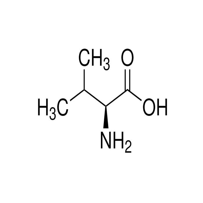 L -缬氨酸