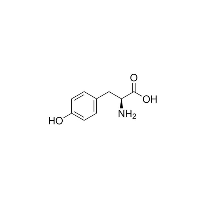 L-酪氨酸