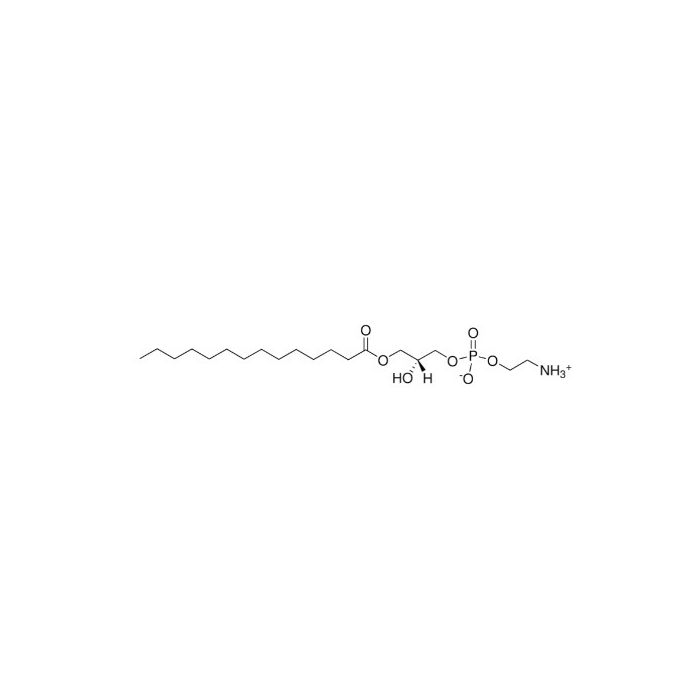1-肉豆蔻基-2-羟基-sn-甘油-3-磷酸乙醇胺