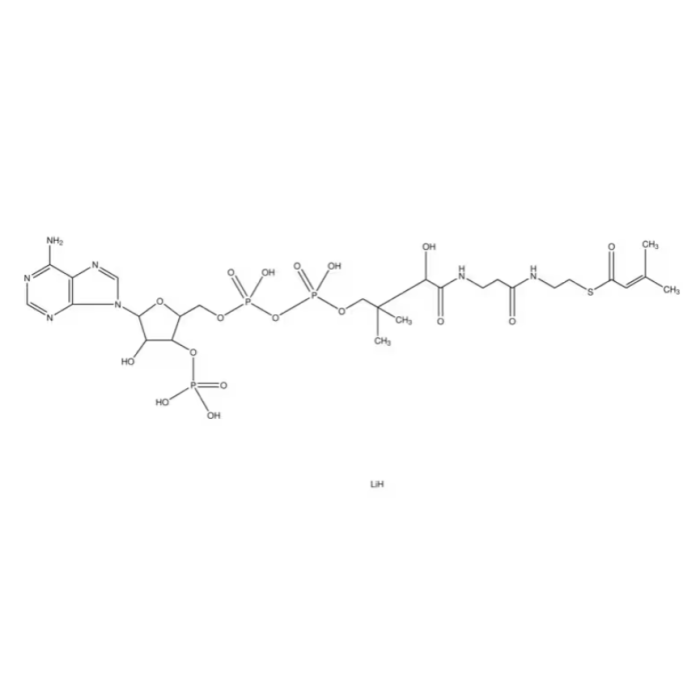 β-甲基巴豆酰基辅酶A锂盐