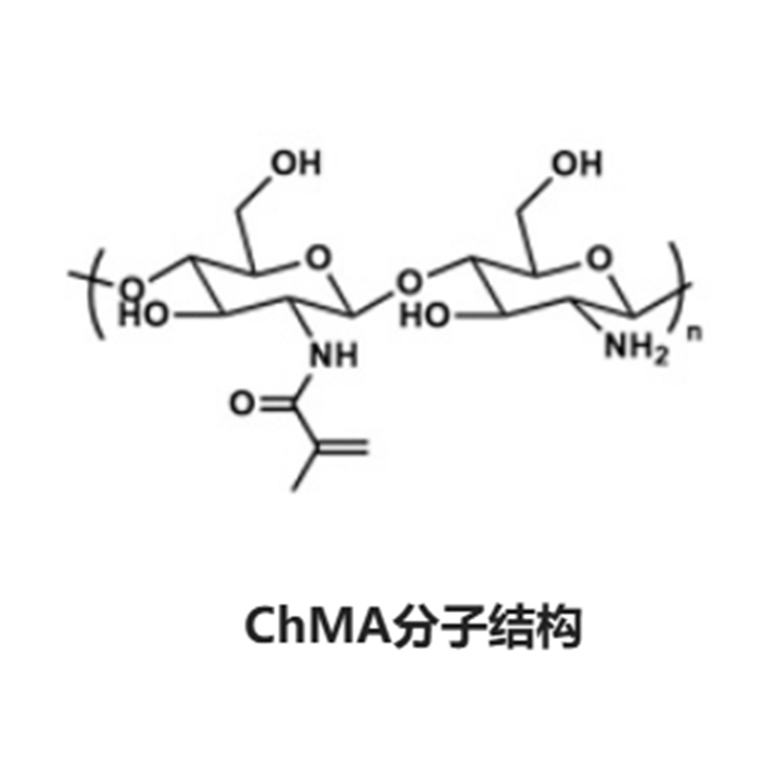 甲基丙烯酰化壳聚糖(ChMA)