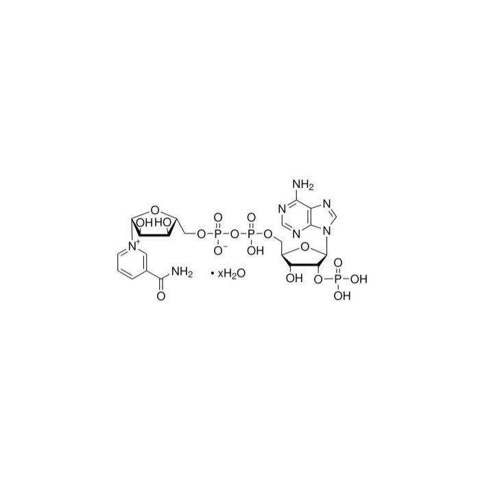 β-烟酰胺腺嘌呤二核苷酸磷酸(NADP)水合物