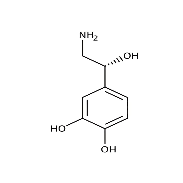L-去甲肾上腺素, α 1A 肾上腺素受体激动剂；α 1B 肾上腺素受体激动剂；α 1D 肾上腺素受体激动剂；α 2A 肾上腺素受体激动剂；α 2B 肾上腺素受体激动剂；α 2C 肾上腺素受体激动剂；β 1 肾上腺素受体激动剂；β 2 肾上腺素受体激动剂；β 3 肾上腺素受体激动剂