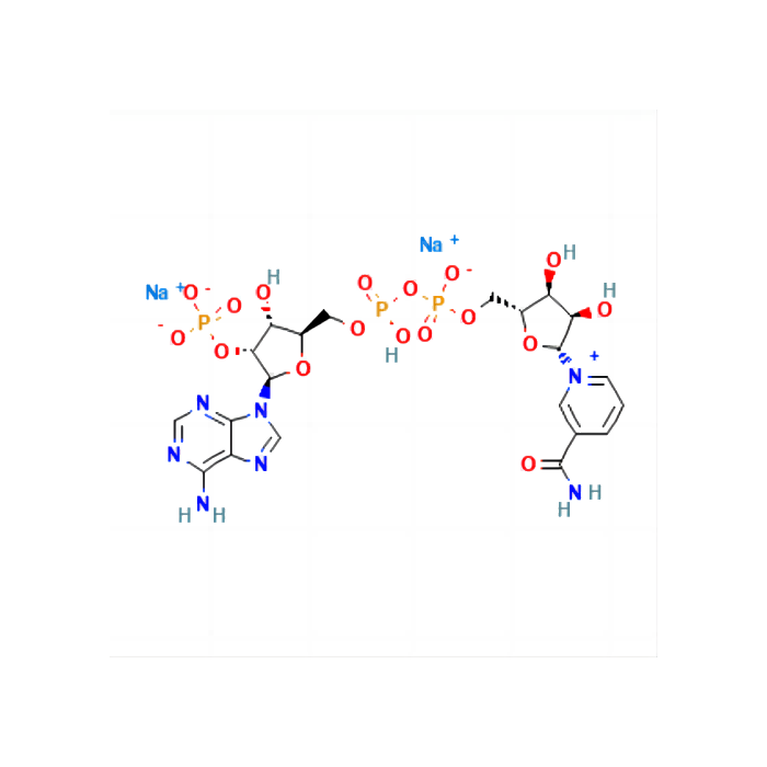 氧化型辅酶II 二钠(β-NADP-Na₂)