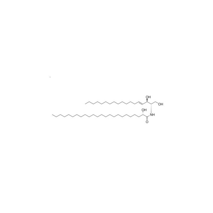 C24 (2'(S)-hydroxy) Ceramide (d18:1/24:0)