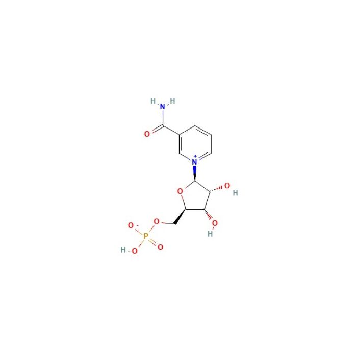 烟酰胺核苷酸 (NMN)