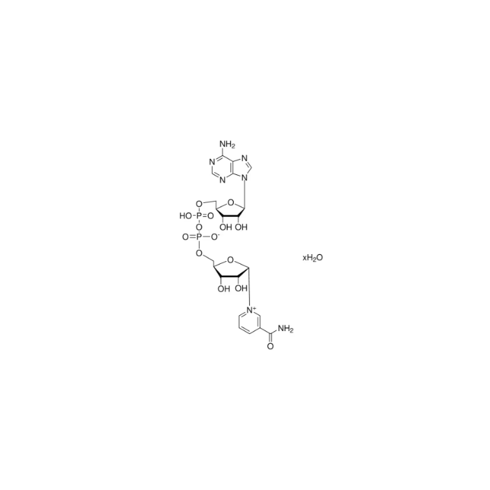 β-烟酰胺腺嘌呤二核苷酸（NAD）