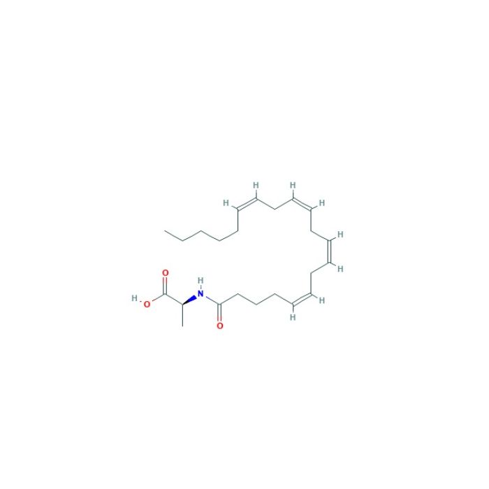 N-花生四烯酰基-（L）-丙氨酸（NA-Ala）