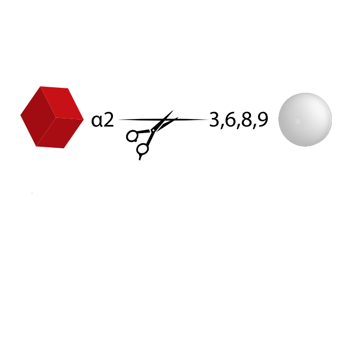 Neuraminidase Au