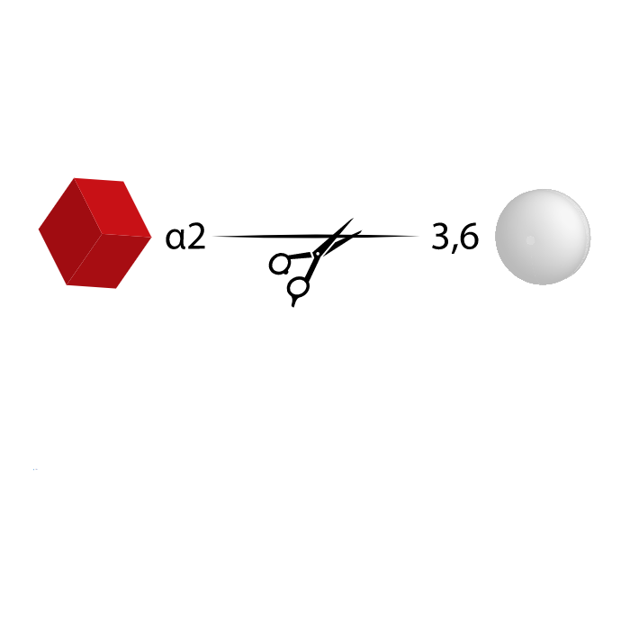 Neuraminidase Cp