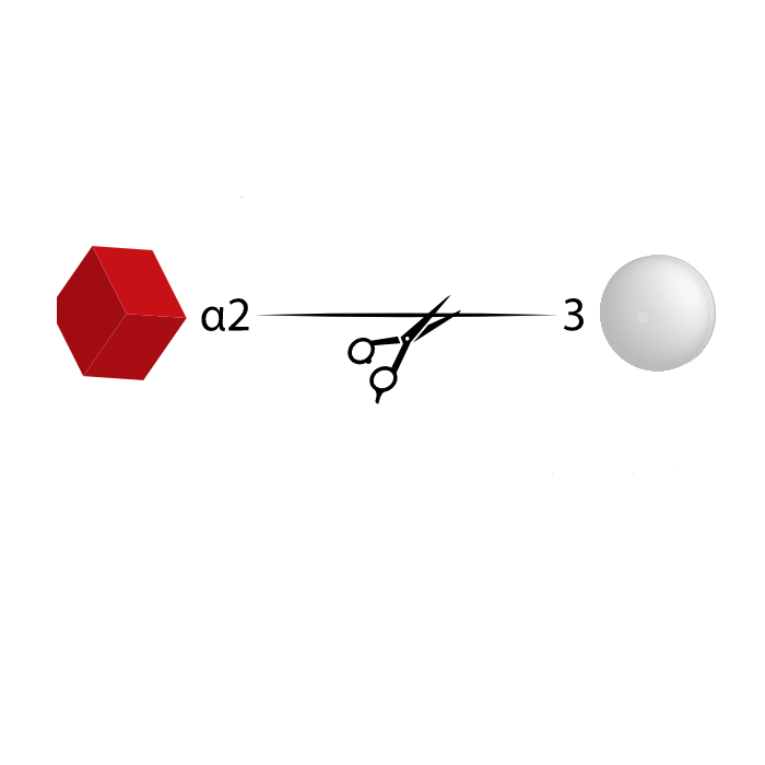 Neuraminidase Sp
