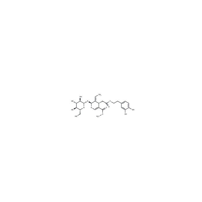 橄榄苦苷, TAS2R8 的激动剂
