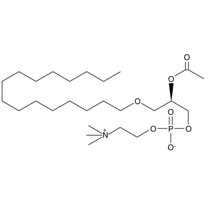 1-O-十六烷基-2-乙酰基-sn-甘油-3-磷酸胆碱, PAF 受体激动剂